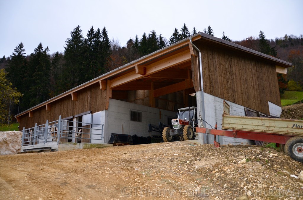 Travaux de béton pour stabulation libre